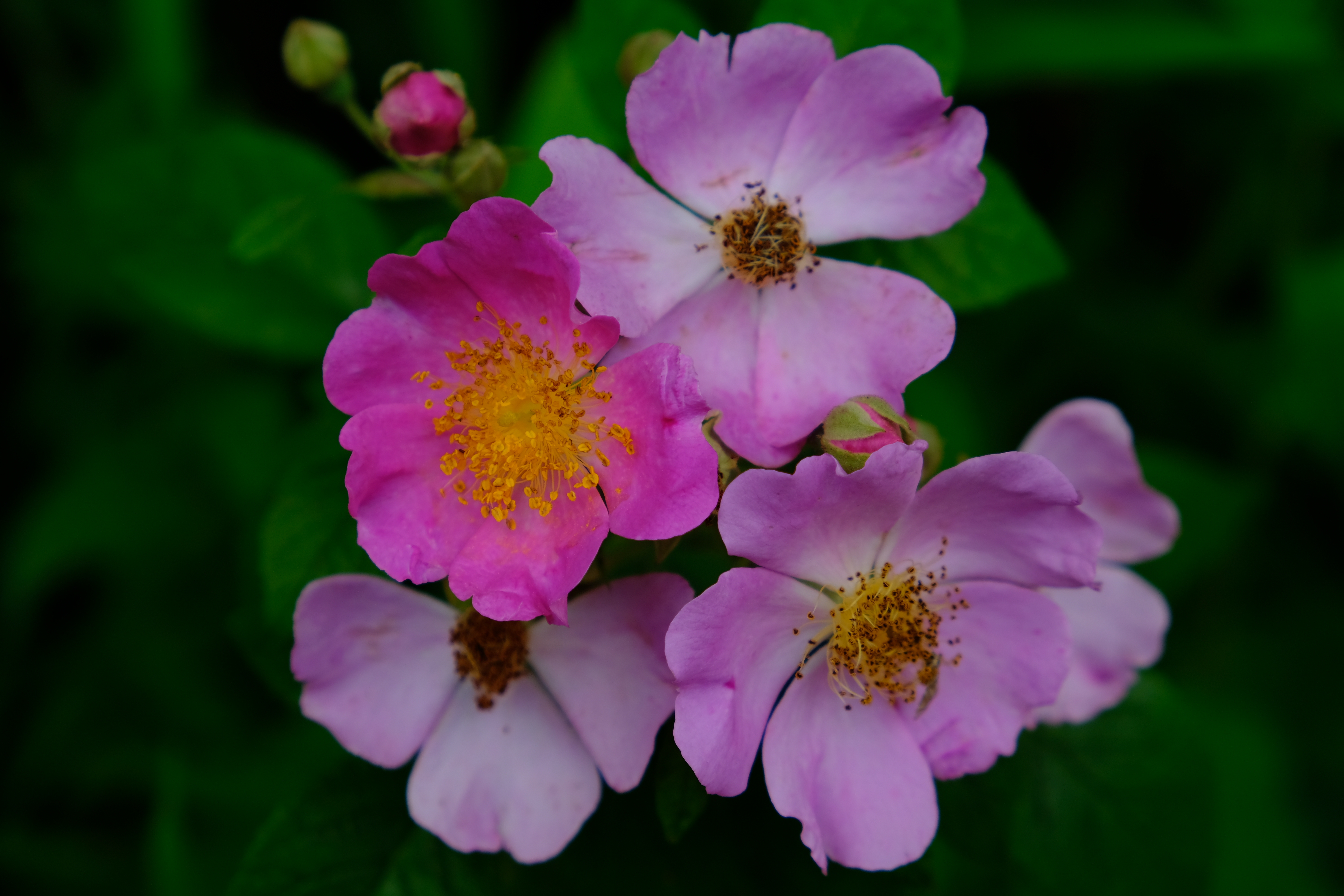 88DFCFAA-DC39-4158-9DE1-F84B85E1D894