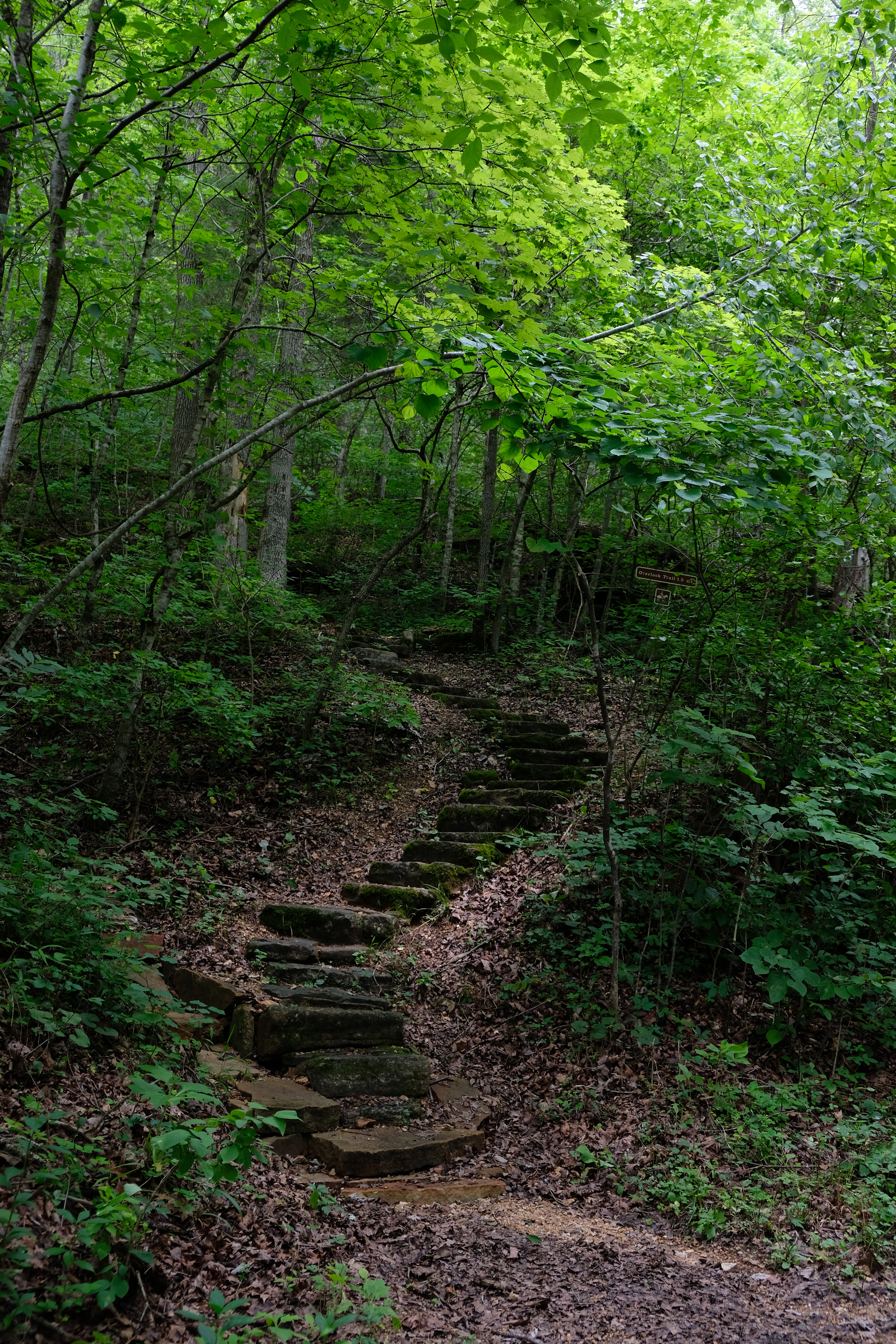 94F9E8C9-1874-43A9-90DA-17CB45061A03