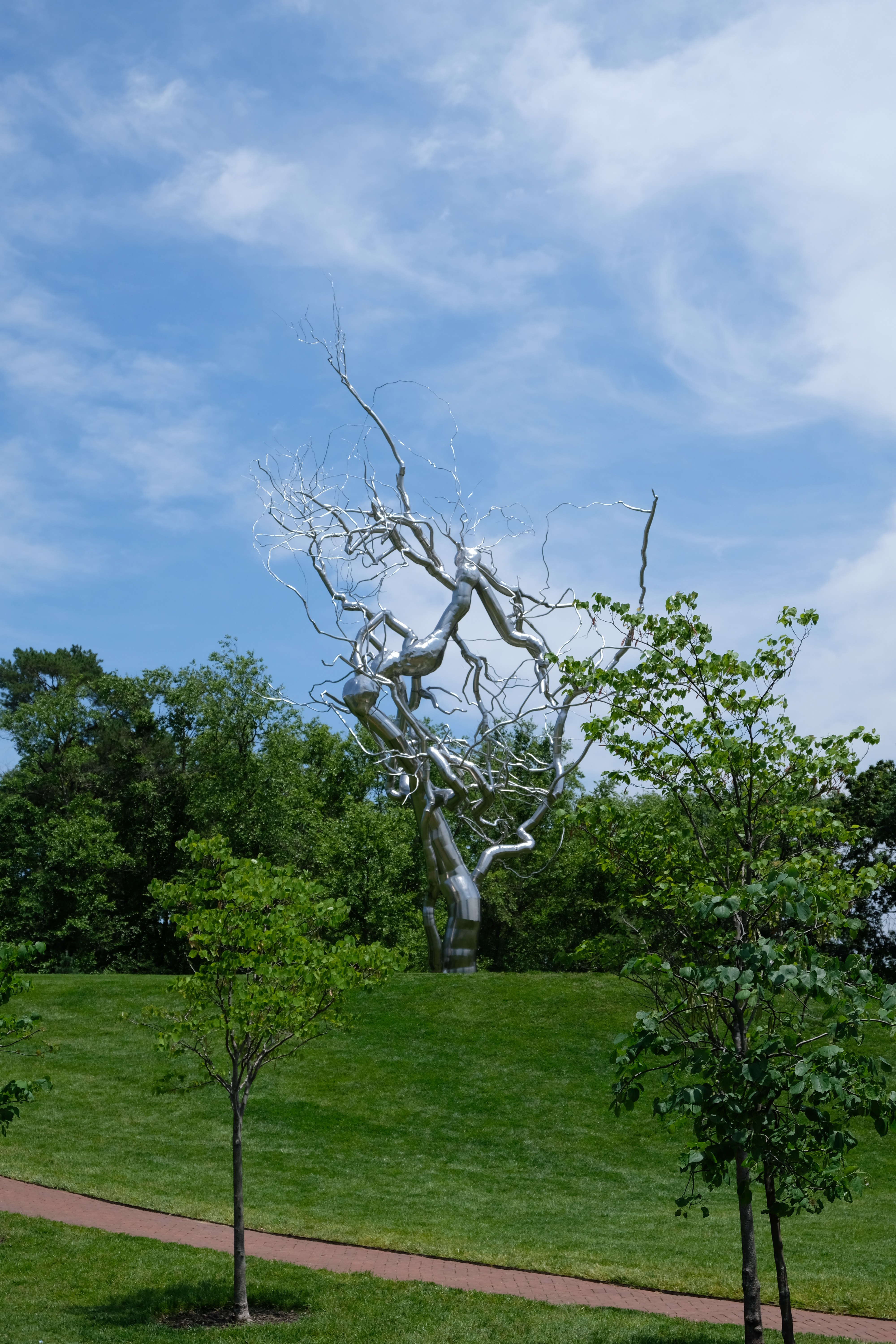 950F9E58-DF91-4B21-AE40-F5815E4C8A28