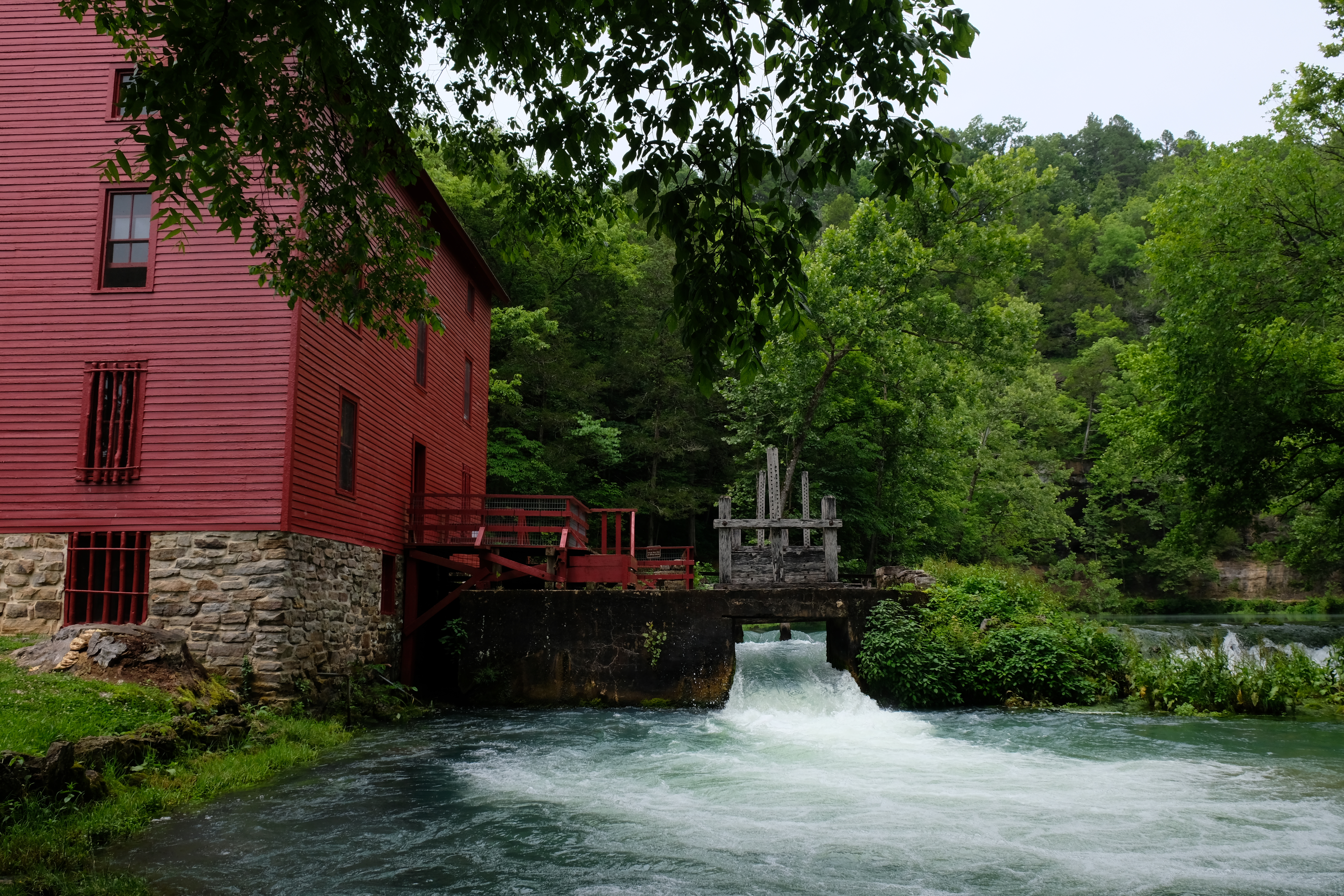 D06CAFCC-C5FE-4F3C-A252-FC72BA07CE08