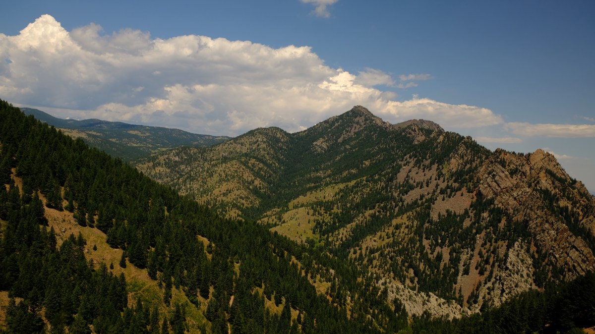 E4C1060C-8CCC-4046-B4D9-4A43673D1022