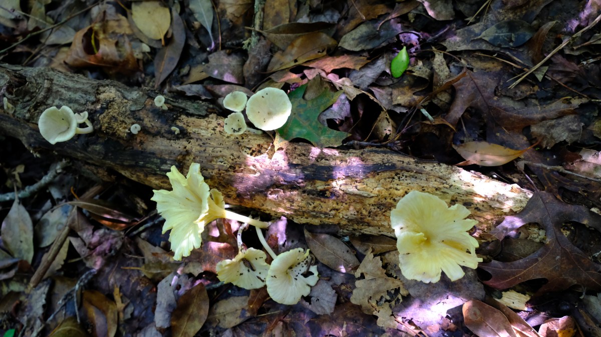 692B0D59-50D7-4381-A968-35B4A74B4BE7