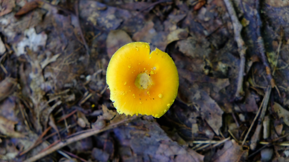 C287D03D-93A3-48B2-BEE8-124D010C7449